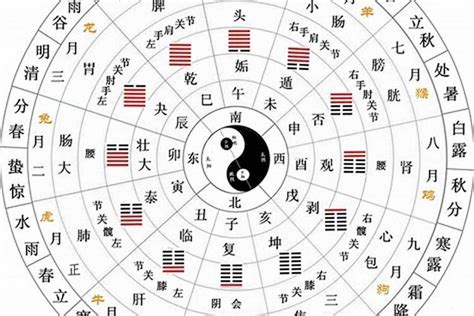 丁五行|天干地支五行对照表图 阴阳五行